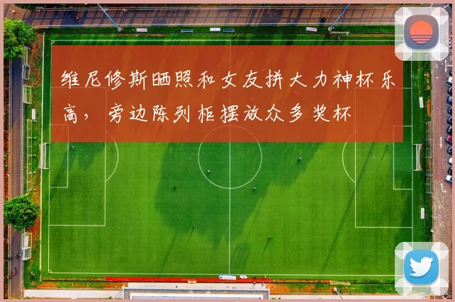维尼修斯晒照和女友拼大力神杯乐高，旁边陈列柜摆放众多奖杯