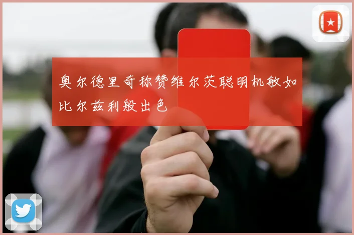 奥尔德里奇称赞维尔茨聪明机敏如比尔兹利般出色