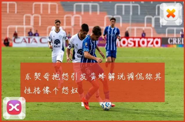东契奇抱怨引发黄蜂解说调侃称其性格像个怨妇