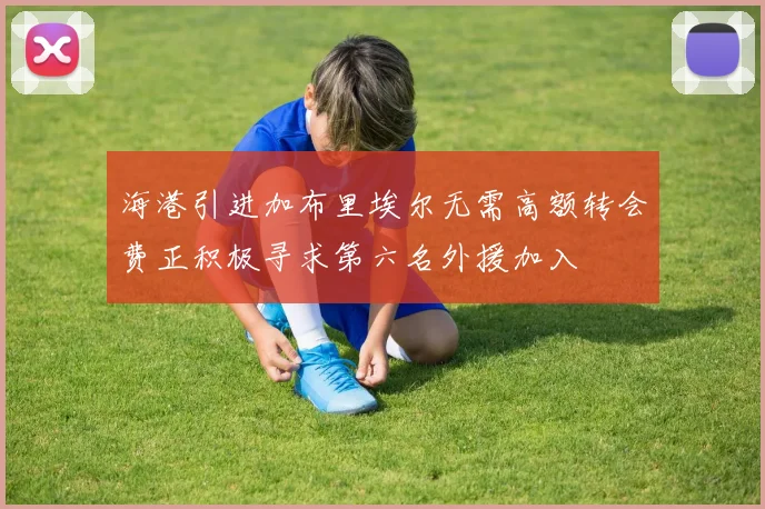 海港引进加布里埃尔无需高额转会费正积极寻求第六名外援加入