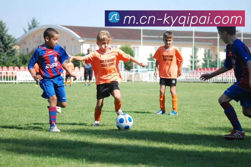 开云体育APP 高清赛事图